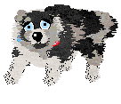 Moonvale's Piranha Club at Dalheaf — “Toto”