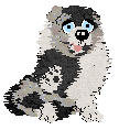 Moonvale's Piranha Club at Dalheaf — “Toto”