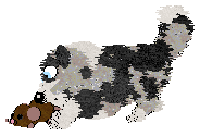 Moonvale's Piranha Club at Dalheaf — “Toto”