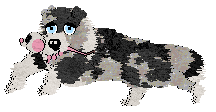 Moonvale's Piranha Club at Dalheaf — “Toto”