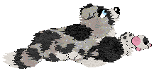 Moonvale's Piranha Club at Dalheaf — “Toto”