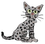 Profile image of Frogbowl Delightful Meow