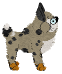 Chachke's Beware of Dog — “Spike”