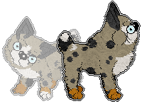 Profile image of Chachke's Beware of Dog
