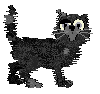 Killian's Fleabitten Fuzzball — “Boo”