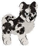 Profile image of SWKM's Thistle & Thaw