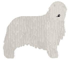 Profile image of Dragosani SERCE OCEANU