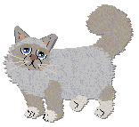 Profile image of Frogbowl Baby Blue