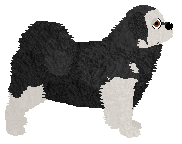 Blizzard Luxurious Gift — “Laszlo”
