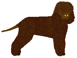 Profile image of Dragosani MIŚ USZATEK