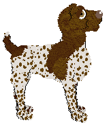 Frogbowl Joy In Spots — “Freida”