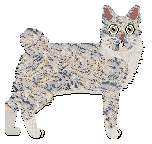 Profile image of Moth's Permanent Fixture at Macavity