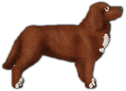 Profile image of Delfire's What is hard, is the best