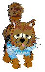 Profile image of SeaGlass's Mix and Match