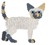 Profile image of Starling Nova Current