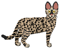 Profile image of Macavity Lions Gone and Come