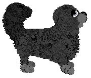 Vanillabel's Night Fowl — “Owl”