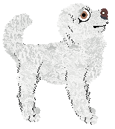 Vanillabel's Sparkling Snofall — “Snofall”