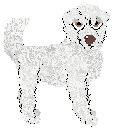 Vanillabel's Sparkling Snofall — “Snofall”