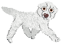 Profile image of Vanillabel's Sparkling Snofall