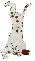 SeaGlass's The Starlight Barking of the Opera — “Perdita X”