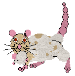 SeaGlass's Ricey Rat — “Rizotto”