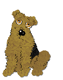 Profile image of Frogbowl Cogra Moss