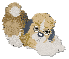 Profile image of Frogbowl Rich Dog