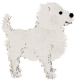 SeaGlass's Annoying Palindrome — “Toby”