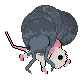 Cin's Ain't No Bugbarn in This House! at SeaGlass — “Roly”