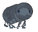 Cin's Ain't No Bugbarn in This House! at SeaGlass — “Roly”