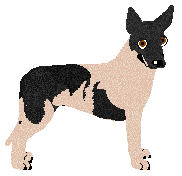 Profile image of Dragosani DEMONY NA SMYCZY