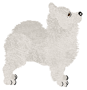 Profile image of Mirror Blue's Magic in a Dead Language