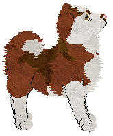 Cargo's Otter Pup — “Otter”