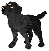 Profile image of Cargo's Warm Apple Pie