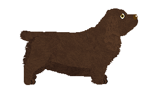 Profile image of Uplands Low-Rise Dreaming