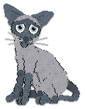 Profile image of Cargo's Bluebonnets Blooming