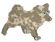 Profile image of Frogbowl Country Custom