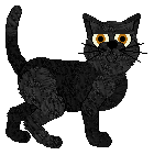 Cargo/Macavity's Roadside Courtesy — “Lowbeam”
