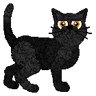 Profile image of Cargo/Macavity's Roadside Courtesy