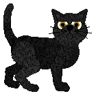 Cargo/Macavity's Tricked By A Business — “Macklemore”