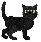 Cargo/Macavity's Tricked By A Business — “Macklemore”
