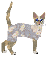 Rumpleteazer Tiki Calypso — “Calypso”
