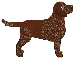 Profile image of Dalheaf Princess Lindworm
