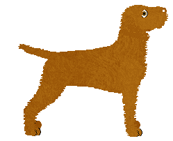 Profile image of Cansas' Rio Grande