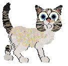 Outtumbll Starseeker — “Hoshi”