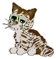 Profile image of Cargo's Sticky Sweet