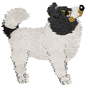 Sable's Look at that Schnauz! — “Anteater”