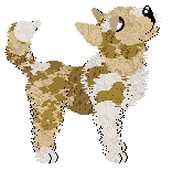 Profile image of NSP Bo Chłopi Rozkradną