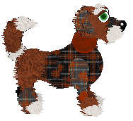 Dandy's Cozy Winter Plaid at SeaGlass — “Flannel”